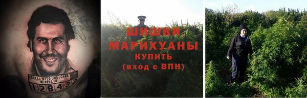 ешки Аркадак