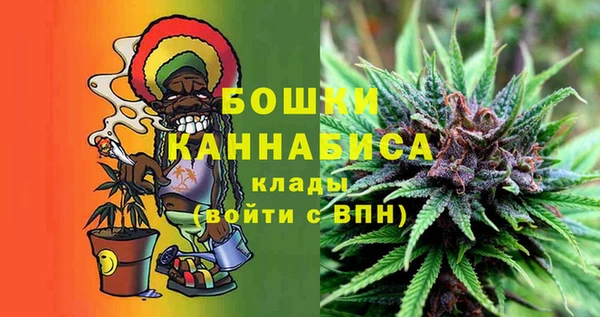 ешки Аркадак