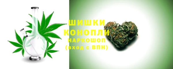 ешки Аркадак