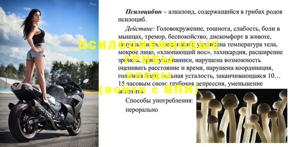 ешки Аркадак