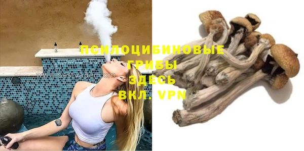 ешки Аркадак